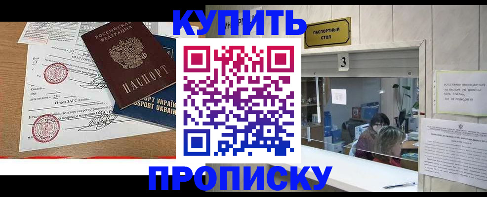 временная регистрация надежно в Мончегорске