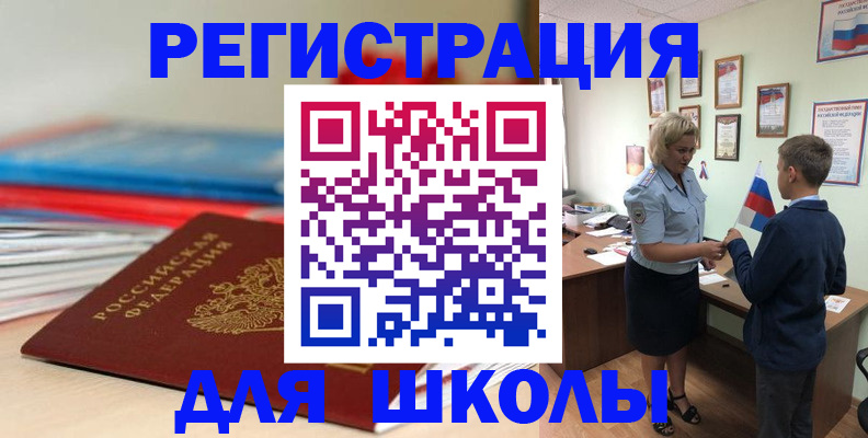 временная регистрация собственник в Мончегорске